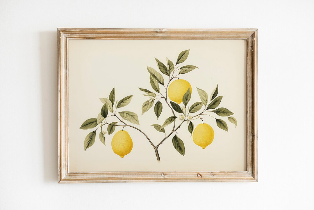 Vintage Lemons Kitchen Print  Farmhouse Kitchen Decor  - Etsy | Etsy (US)