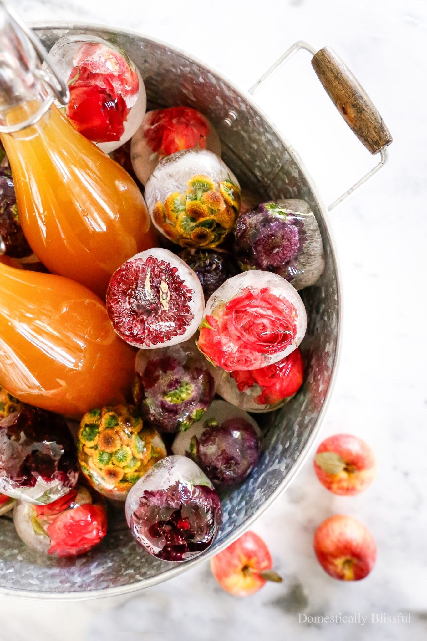 These Fall Flower Ice Balls are made with water and autumn color flowers. They are perfect for keeping your apple cider chilled at your next fall party.

See details:
https://domesticallyblissful.com/fall-flower-ice-balls/

🔗 Join our newsletter: https://domesticallyblissful.com/newsletter/

#LTKSeasonal #LTKHome #LTKWedding