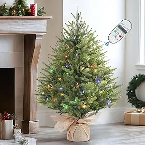 2ft Prelit Artificial Small Mini Christmas Tree with Color LED Lights, Remote Control and Timer, ... | Amazon (US)