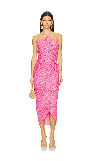 Patrizia Dress in Rosette | Revolve Clothing (Global)