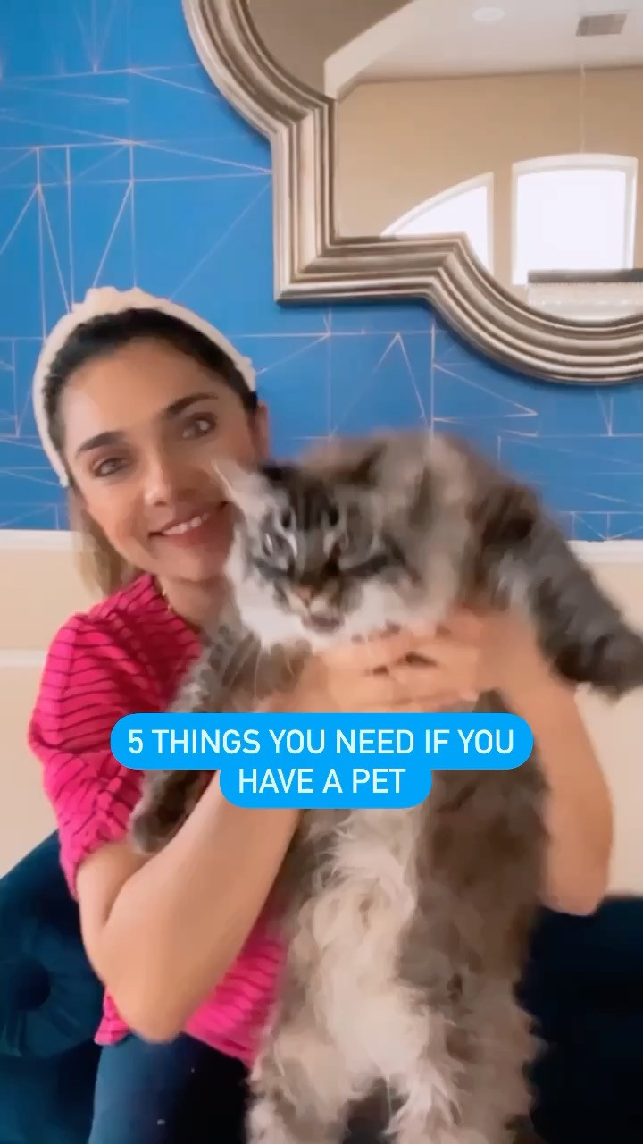 Pet owners know the little things make the biggest difference 🐾 Sharing 5 things that make life with your pet easier, cleaner, and more enjoyable. Everything linked below. 

 #LTKdayinmylife #LTKHome