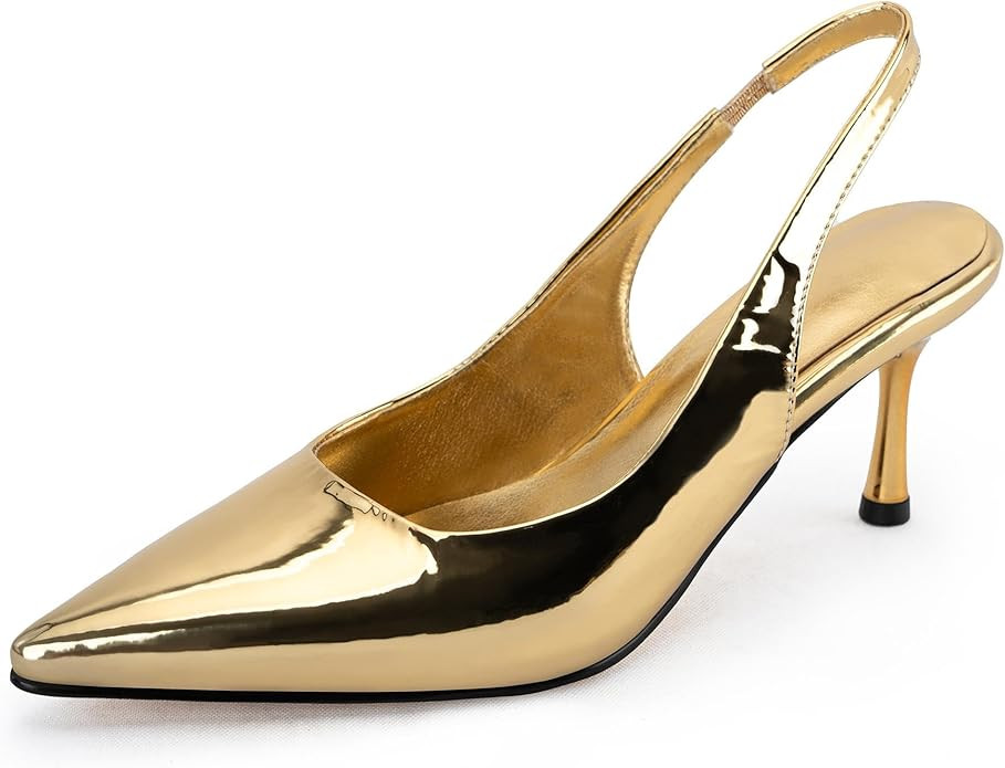 heelchic Women‘s Kitten Pumps Heels, Low Heels Comfortable Slingback Dress Shoes for Women | Amazon (US)
