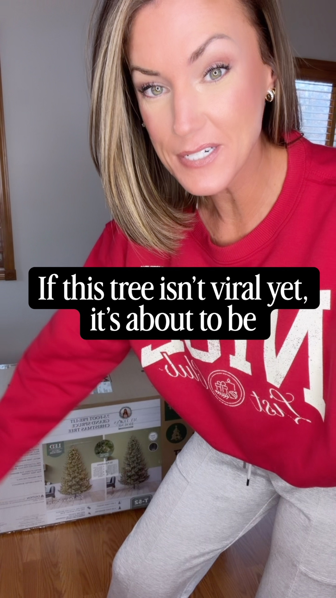 This is about to be the next viral Christmas tree. All the different light settings make it extra pretty. It has just as many lights as the HD option but it more affordable  

#LTKHoliday #LTKSeasonal #LTKHome