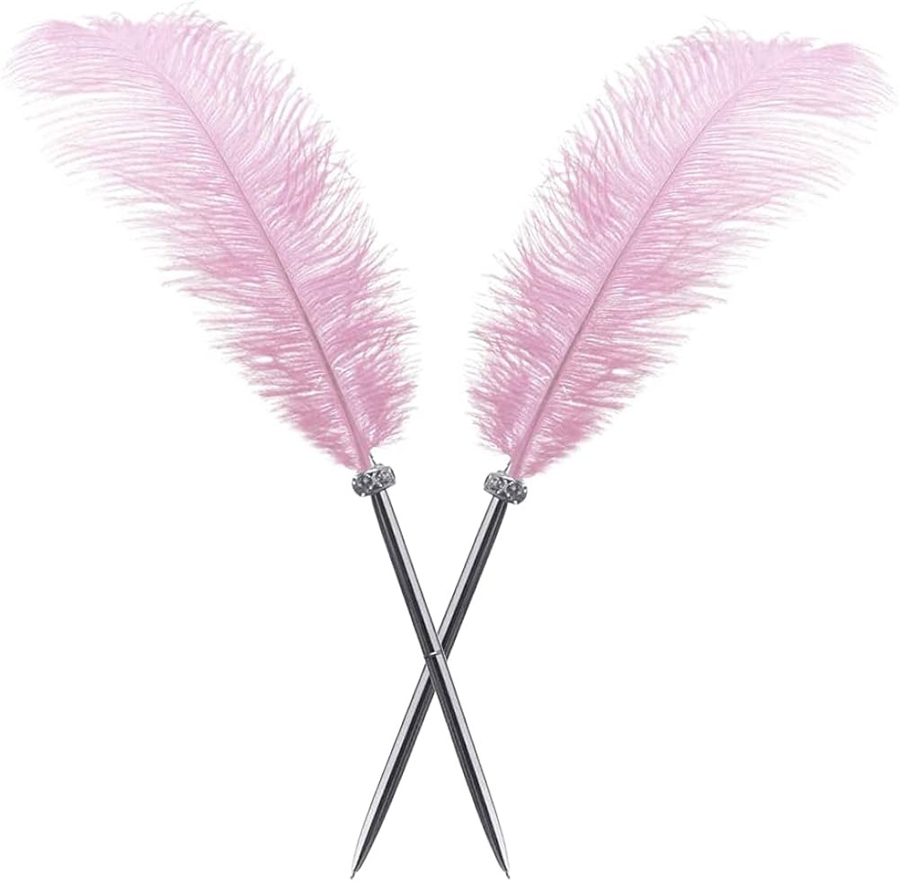 Simple polymer 2 Pcs Feather Pen Black Ink Ballpoint Pen Vintage Feather Quill Wedding Signing Pe... | Amazon (US)