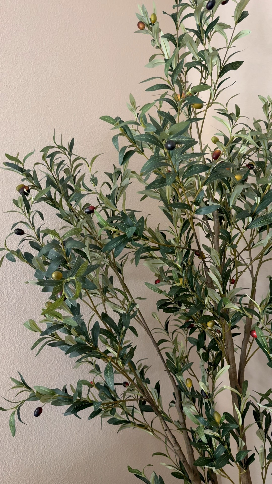🌳 $20 coupon to clip!
My 7ft olive tree is now just $100 and it includes the pot 😱 Only $99!!!!

Such a good price for a tall, realistic tree — don’t miss this one.
See it + more Amazon home finds & deals I’m sharing today 👀

#LTKSeasonal #LTKSaleAlert #LTKHome