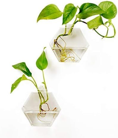Fashionstorm 2 Packs Home Decor Wall Accessories Geometric Hexagonal Glass Vase Wall Sticked Plan... | Amazon (US)