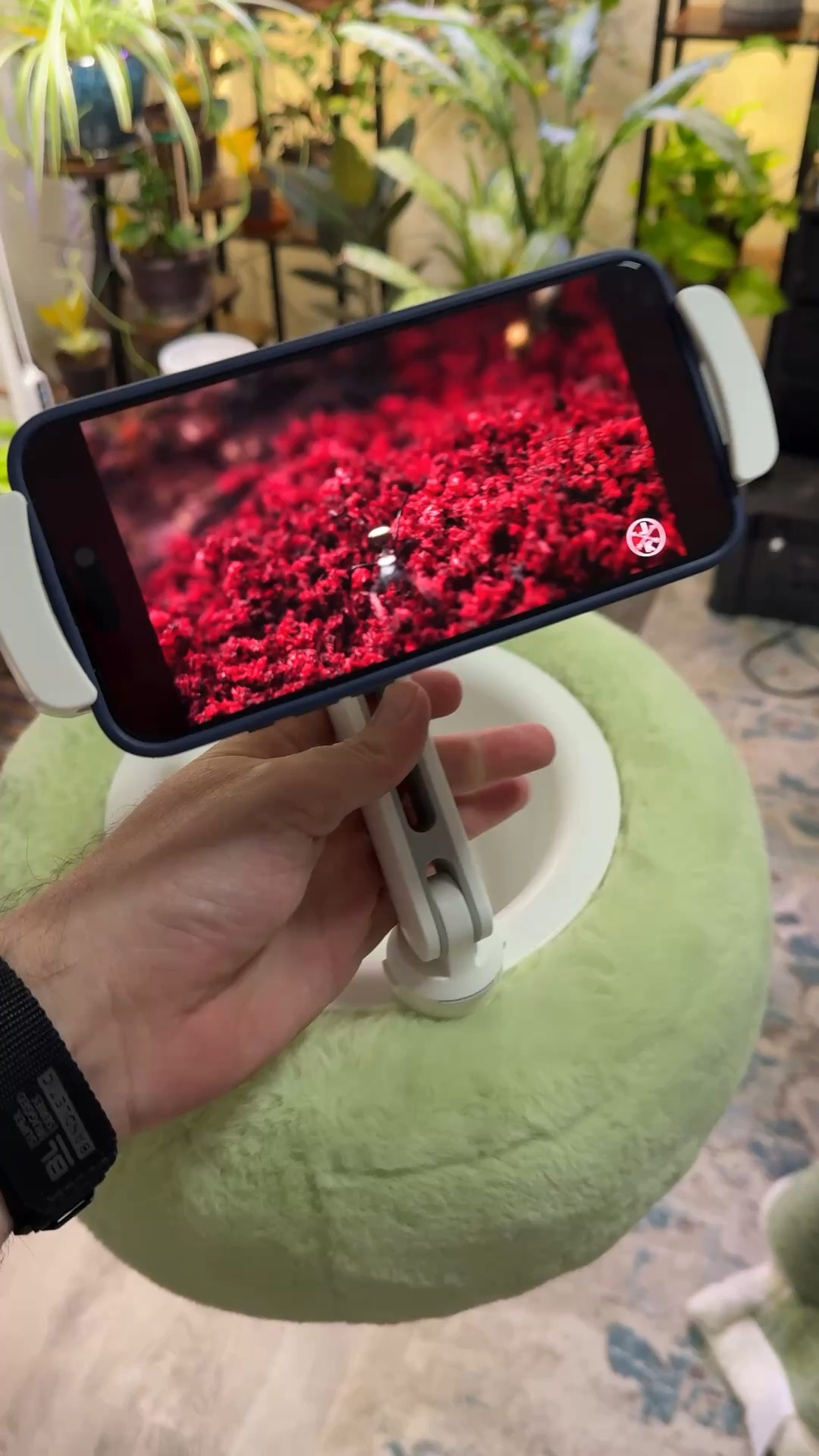 Phone mount with a soft donut type ring and a snack area. Will hold large tablets too even a 13 inch iPad. #mount #phonemount #

#LTKGiftGuide #LTKHome #LTKU