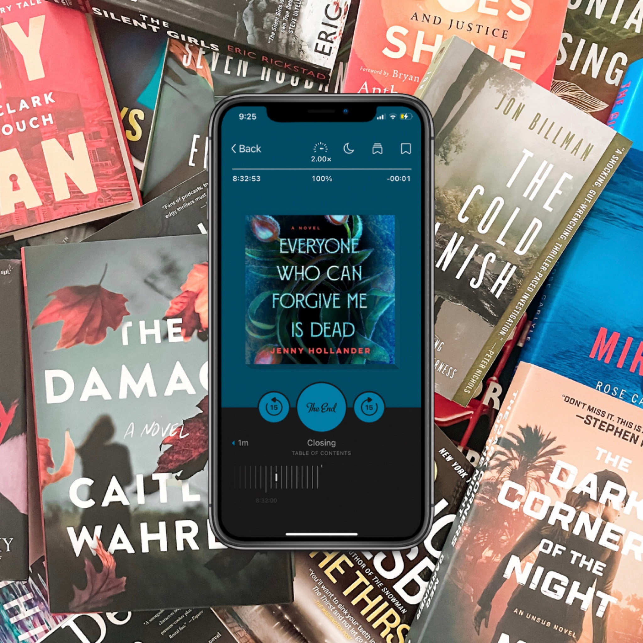 Book, audiobook

#LTKfindsunder50