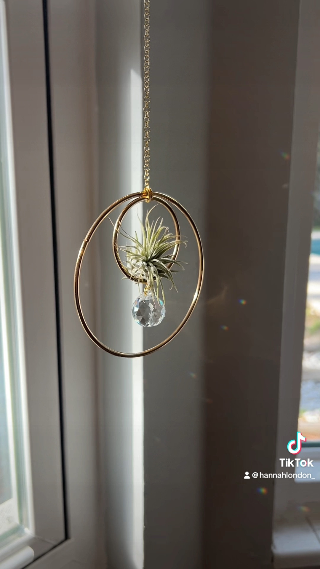 Obsessed with this gift I purchased for my friend…I might need to order one for myself! A suncatcher with an air plant 🌿✨ Unique gift idea for her. It’s minimal, makes rainbows, and is pretty home decor. Perfect! 

#LTKhome #LTKfindsunder50