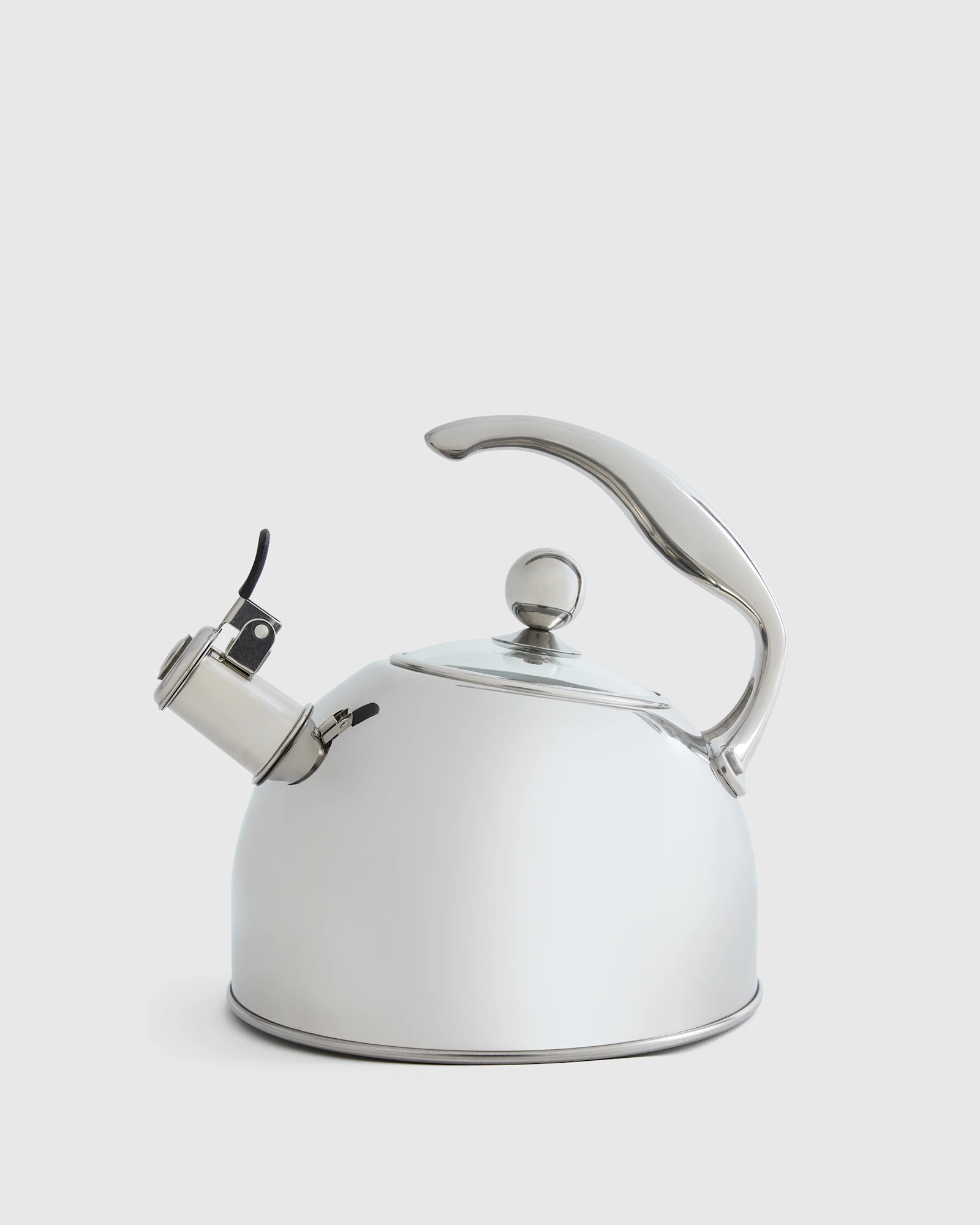 Stainless Steel Tea Kettle | Quince