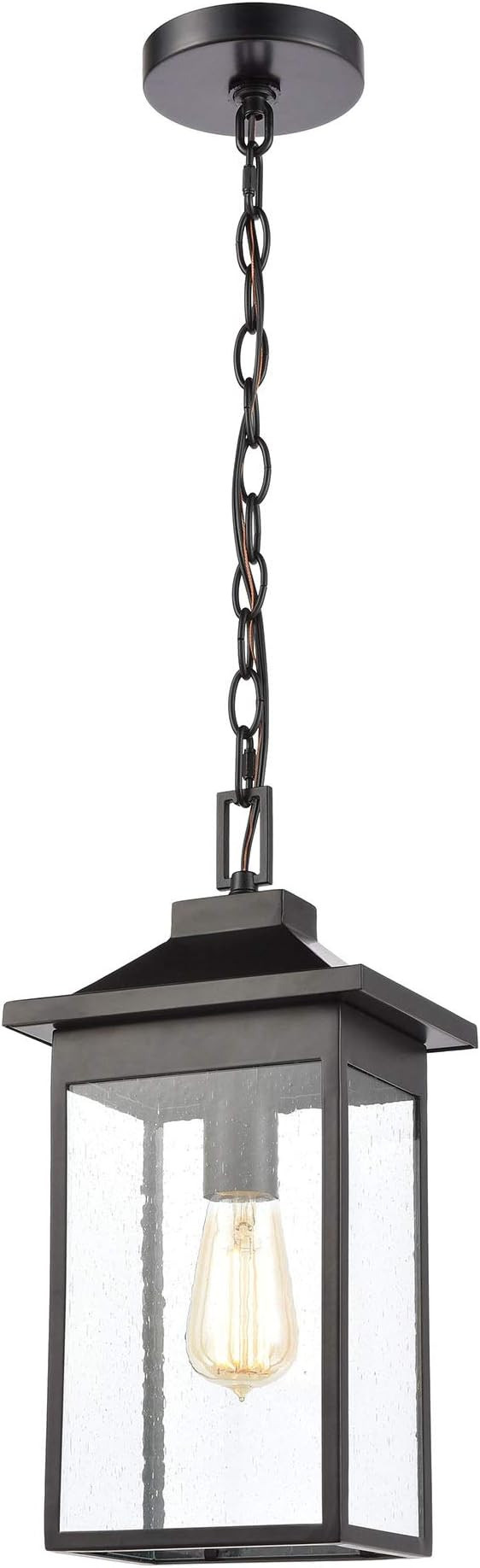 Lamplighter 1-Light Hanging in Matte Black with Seedy Glass | Amazon (US)