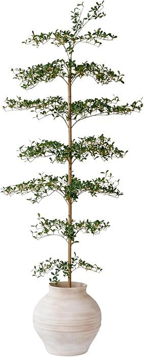Black Olive Tree Artificial 7 Feet Tall, Artificial Shady Lady Tree, Faux Decorative Tree | Amazon (US)