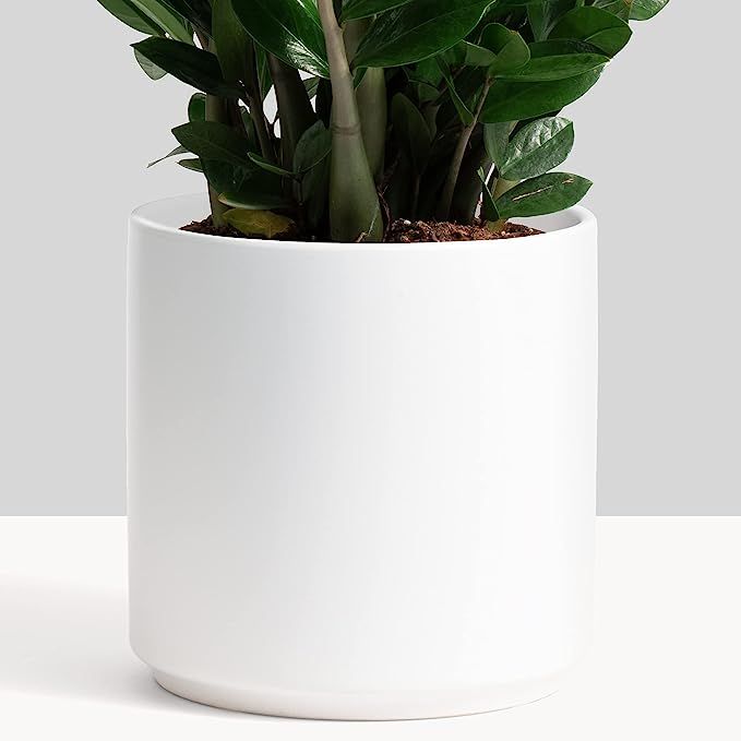 PEACH & PEBBLE 8’’ White Classic Ceramic Planter. Plant Pot with Drainage Hole and Stopper fo... | Amazon (US)