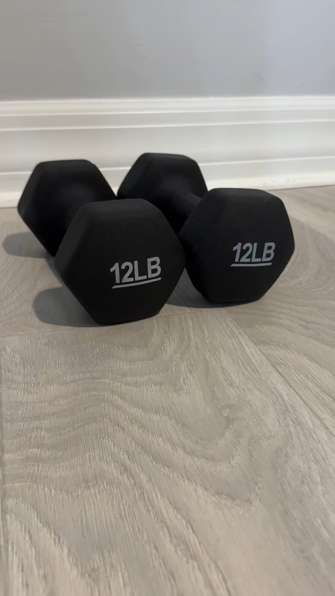 12LB Dumbbells

#LTKActive #LTKU