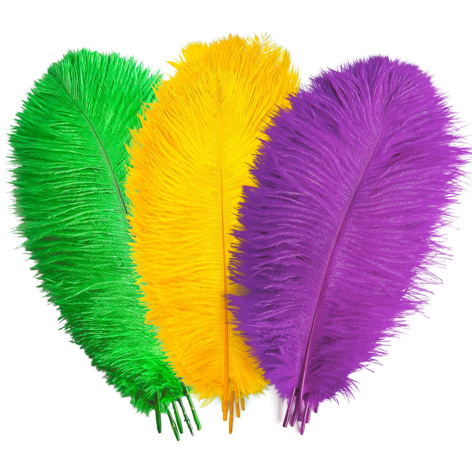 Piokio 36 pcs Mardi Gras Ostrich Feathers 10-12 inch(25-30 cm) Bulk for Mardi Gras DIY Clothing a... | Amazon (US)