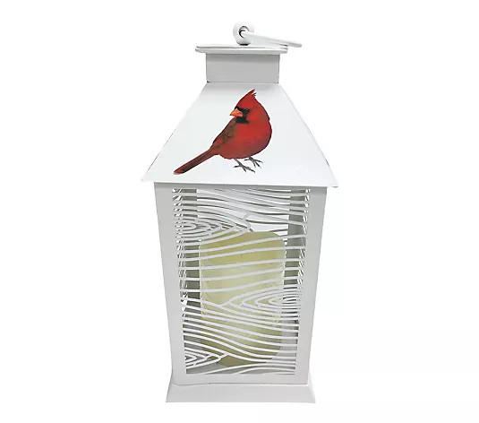 Make Your Selection: Temp-tations Seasonal 11" Lantern with Cutouts | QVC
