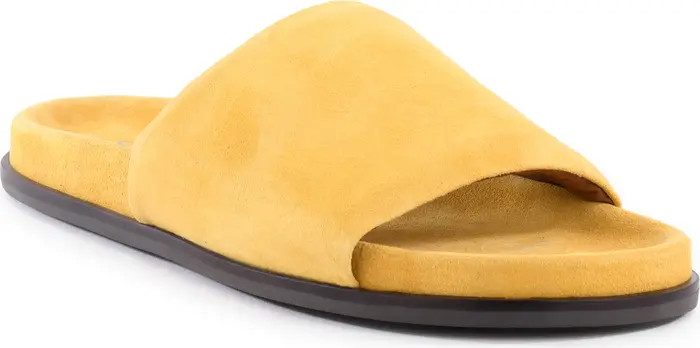 Seychelles Farrah Slide Sandal (Women) | Nordstrom | Nordstrom