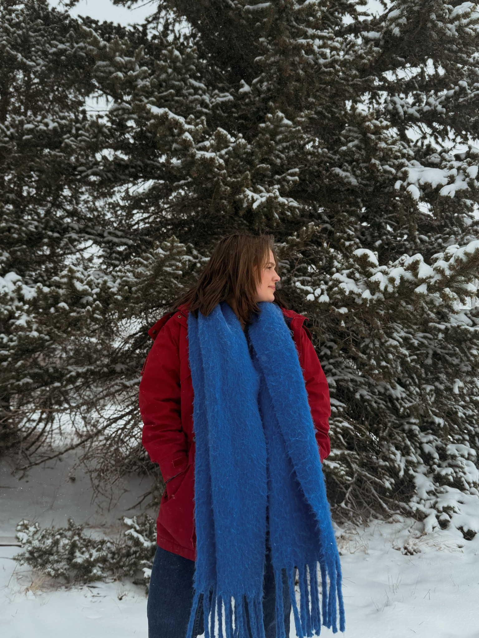my favorite winter scarf in the prettiest blue! 


#LTKMidsize #LTKU