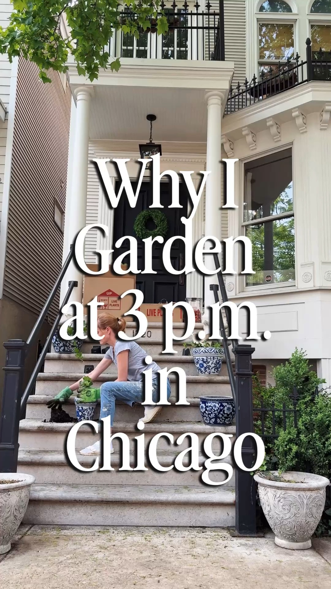 Chicago, you have my heart. ♥️ really just meant to film a springtime gardening “before and after” with this year’s English ivy, but when I watched the footage back, I realized how much more it was than that! Chicagoans are so kind, warm and welcoming… snd often times very funny 🤭 So proud to live in this war zone (had to do it) pots + plants linked here! 

#LTKdayinmylife #LTKstorytime #LTKOver40