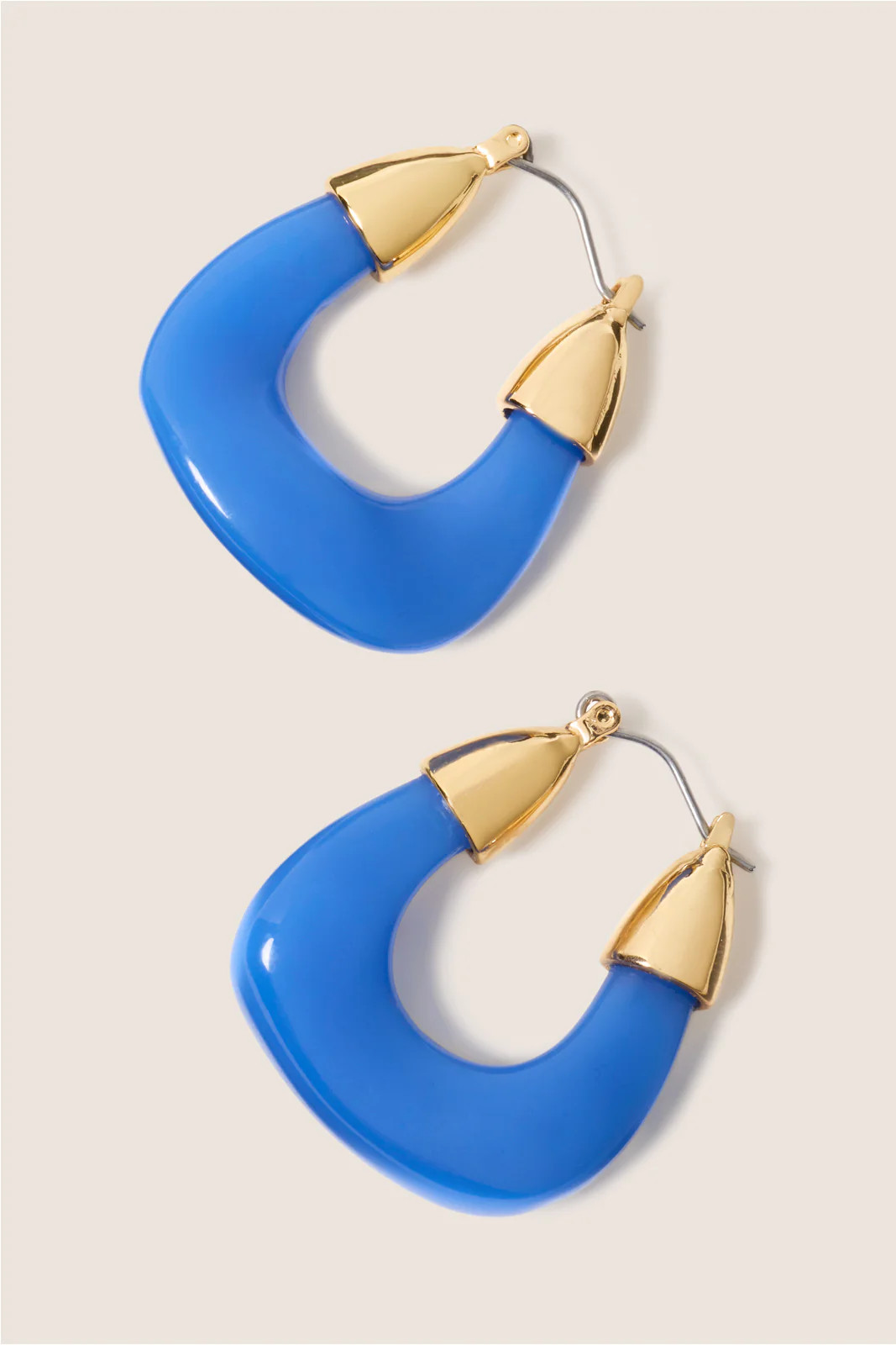 Becca Resin Hoop | Evereve