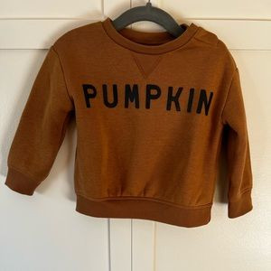 Little Co Baby Pumpkin Long Sleeve Brown Crew Neck Sweatshirt Size 12 Months | Poshmark