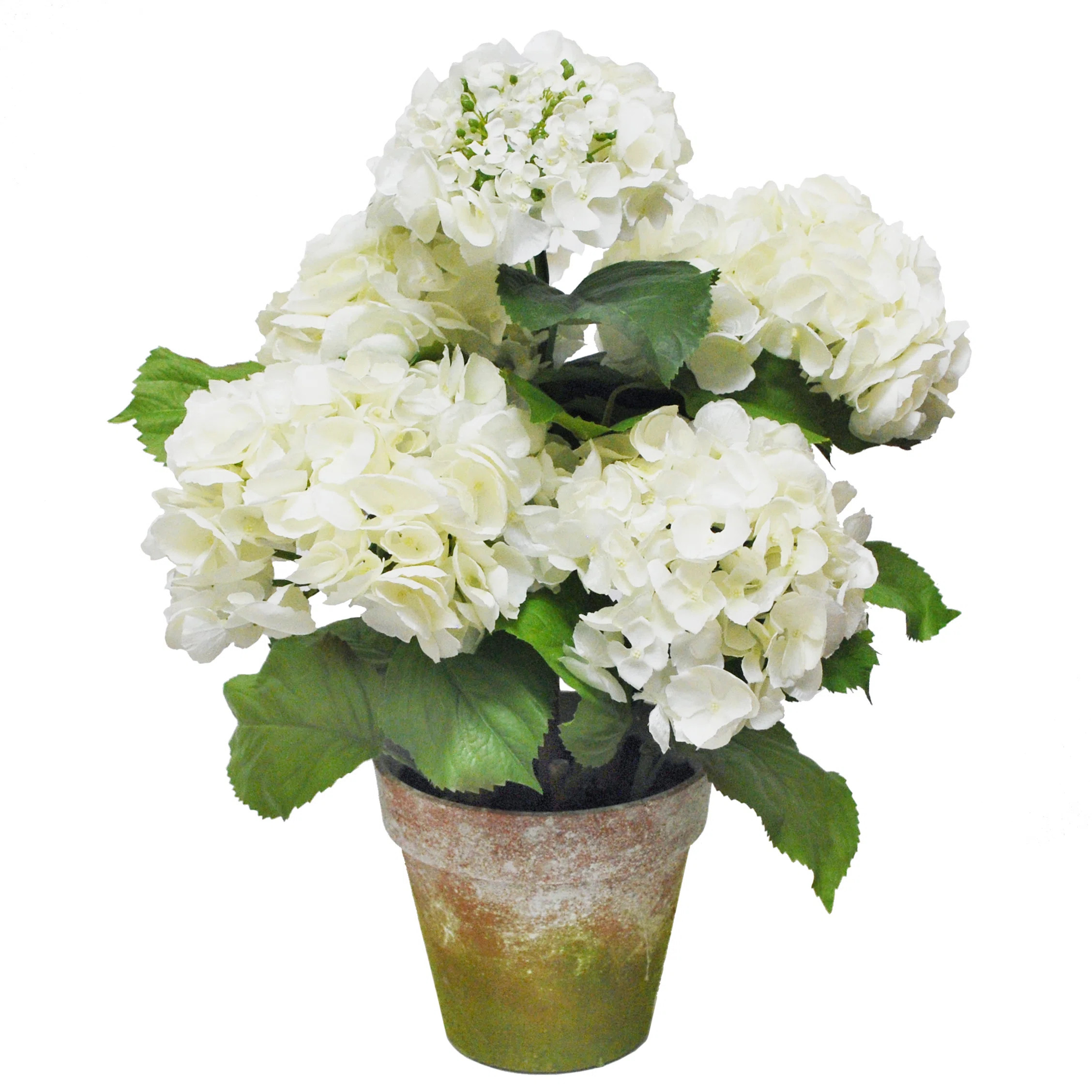 Hydrangea Arrangement in Pot | Wayfair North America