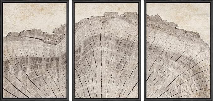 SIGNWIN Framed Canvas Print Wall Art Set Retro Close Up Oak Wood Tree Rings Nature Wilderness Ill... | Amazon (US)