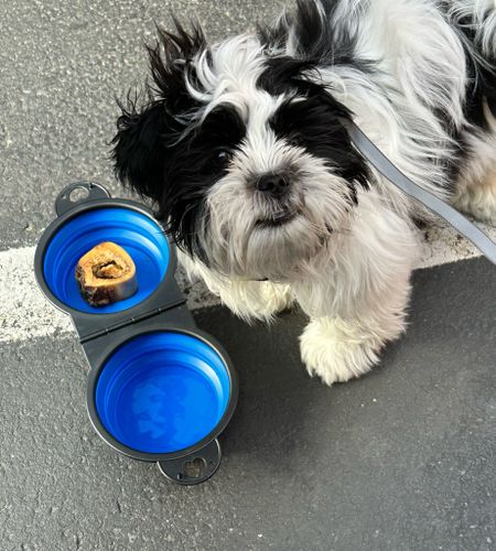 The portable double feeder is an absolute must have for any pet owner! Folds flat and attaches to your bag or keychain - unfold in minutes and make sure your pet is well fed and hydrated on matter where you are. 
