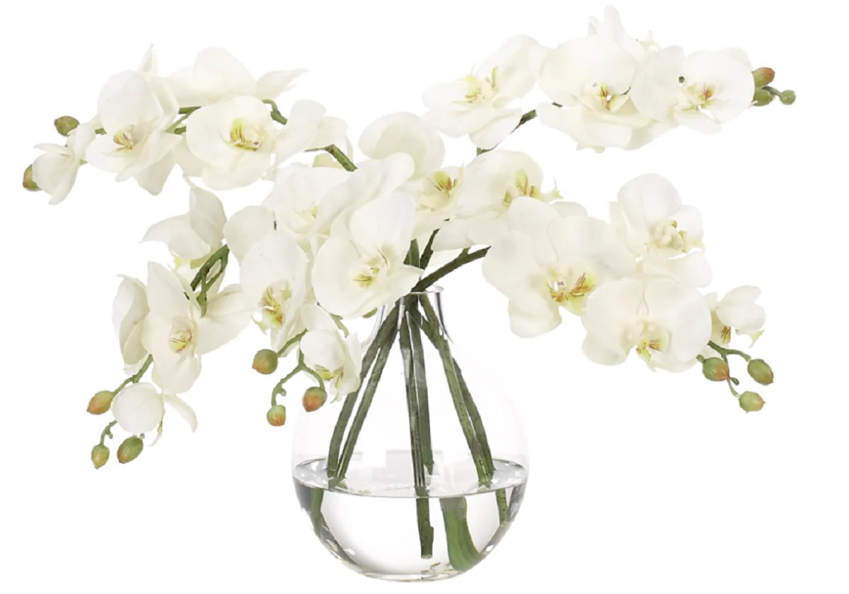 WHITE ORCHIDS | Alice Lane Home Collection