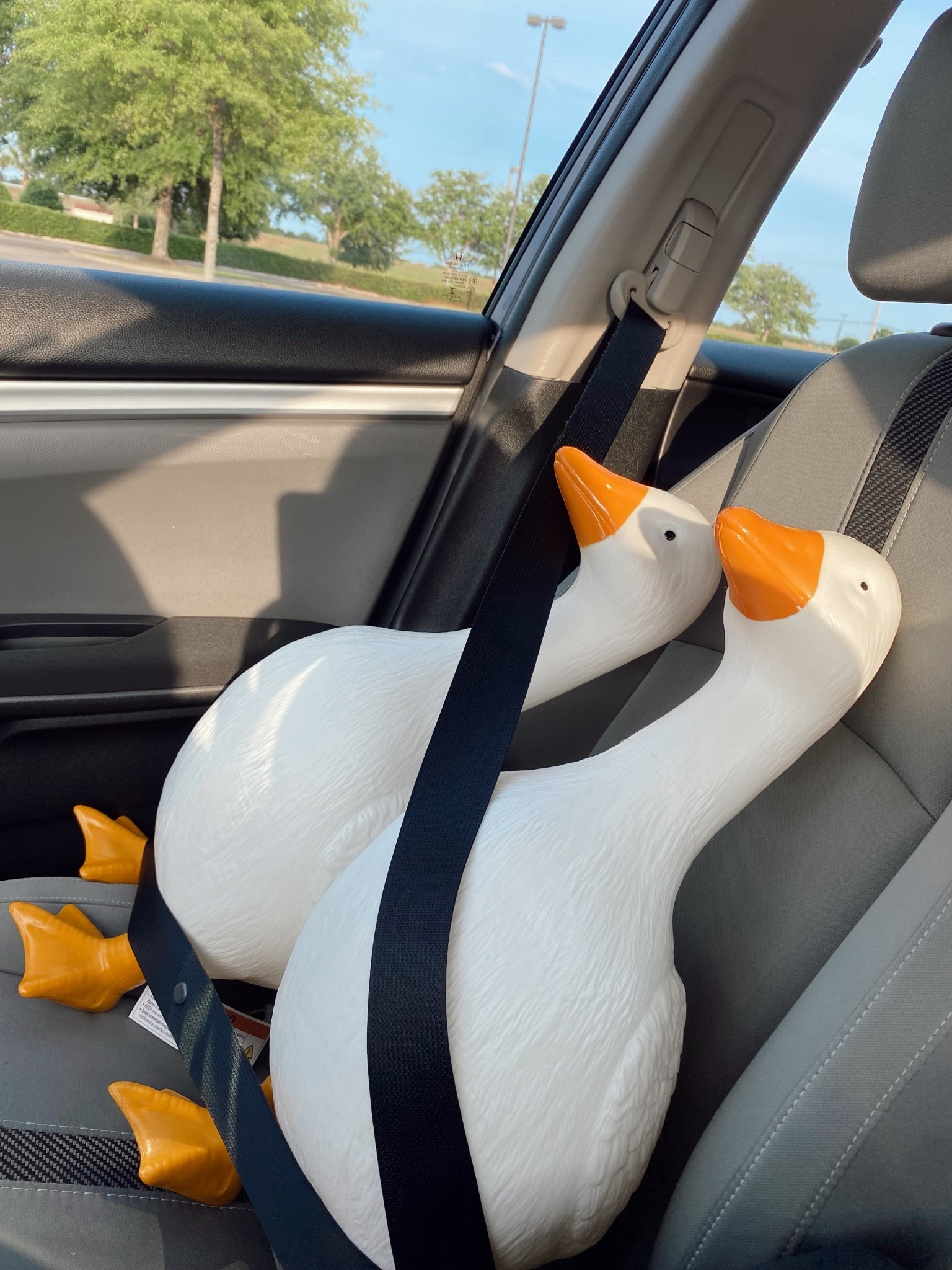 Porch goose I found online 

#LTKgrwm #LTKMothersDay #LTKootd