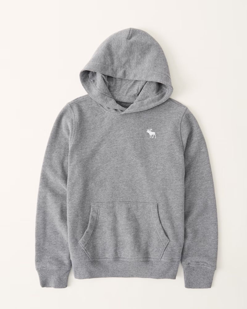 boys essential icon hoodie | boys | Abercrombie.com | Abercrombie & Fitch (US)