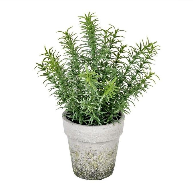 Vickerman Vickerman 12.5&#8220; Artificial Potted Green Plant. Lowes.com | Lowe's