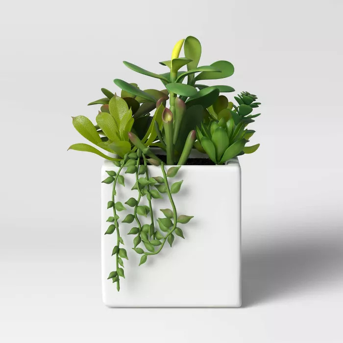 Artificial Succulent Plant Arrangement in Pot - Project 62™ | Target