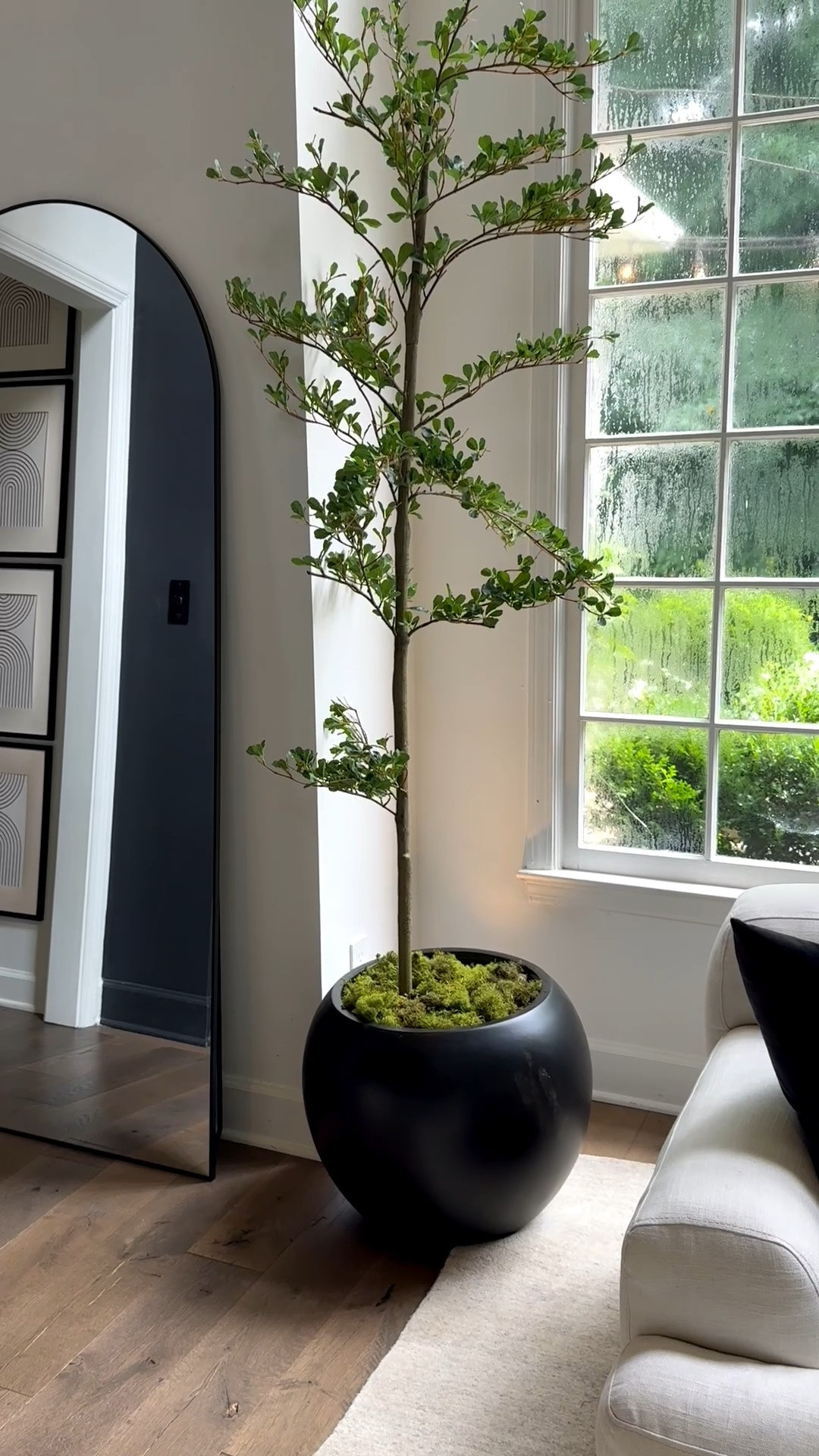 Every room needs that one piece that quietly steals the show. 

For me, it’s almost always a beautiful tree. It brings height, softness, and that collected, designer feel that instantly makes a corner come alive. Instead of feeling like an empty space, it becomes one of my favorite moments in the entire home.

I found this one on Amazon, and it looks so much more expensive than it is. Paired with a sculptural planter and preserved moss, it creates the kind of timeless, organic luxury I never get tired of.

If you have an empty corner, don’t overthink it. Start with a gorgeous tree and build the room around it. Trust me… it changes everything. XxV

#LTKHome #LTKSeasonal #LTKSaleAlert