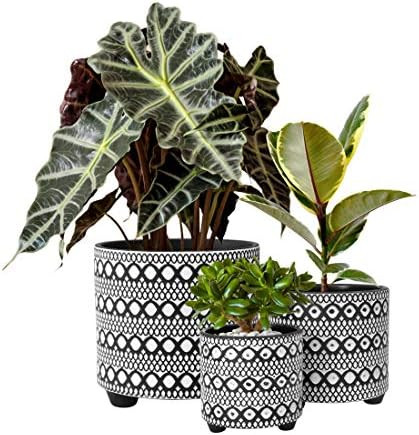 Set of 3 Planter Pots, 4 Inch & 6 Inch & 8 Inch, Modern Design Ceramic Plants Pot with Drainage H... | Amazon (US)