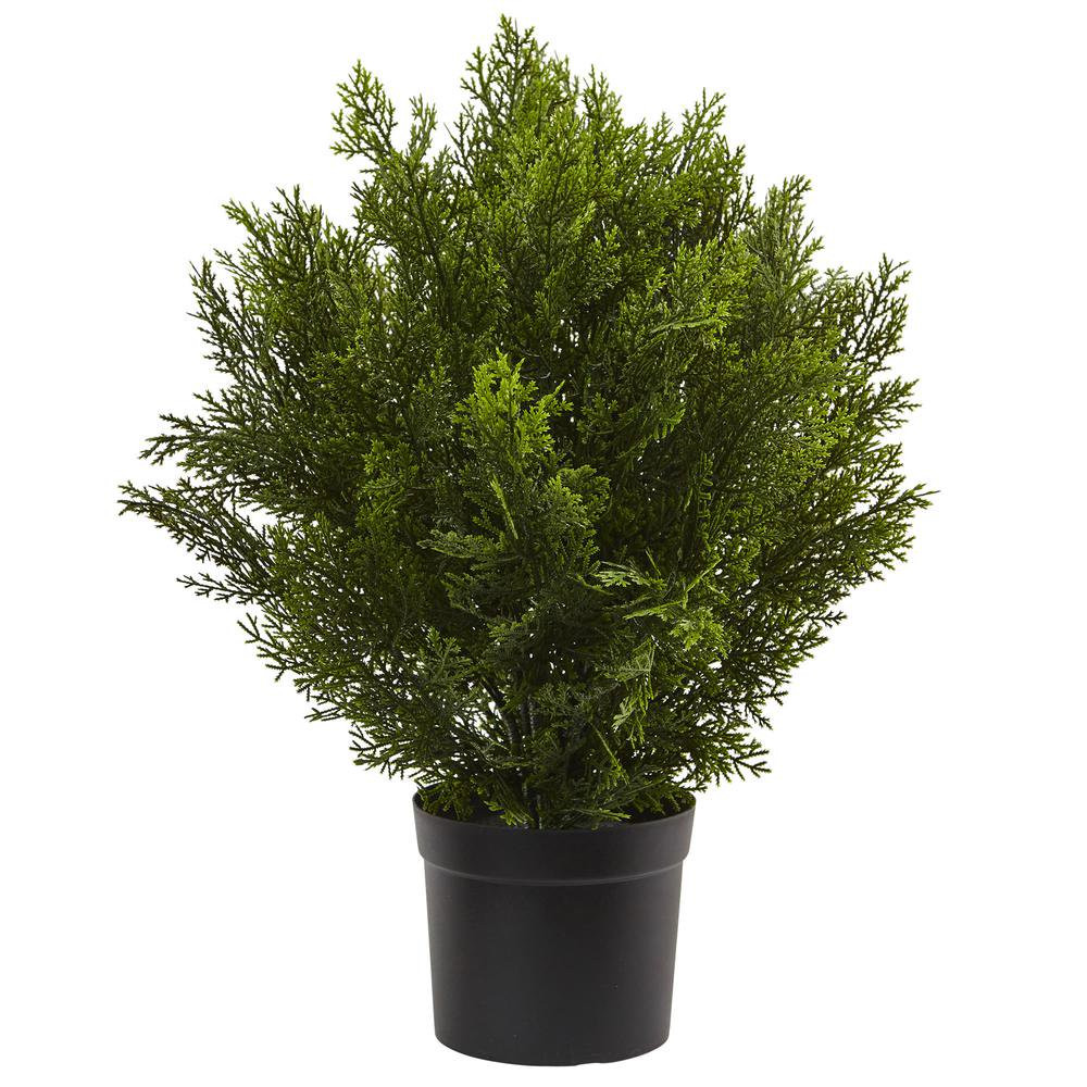 Nearly Natural 2'H Artificial Cedar Bush With Pot, Green/Black - Walmart.com | Walmart (US)