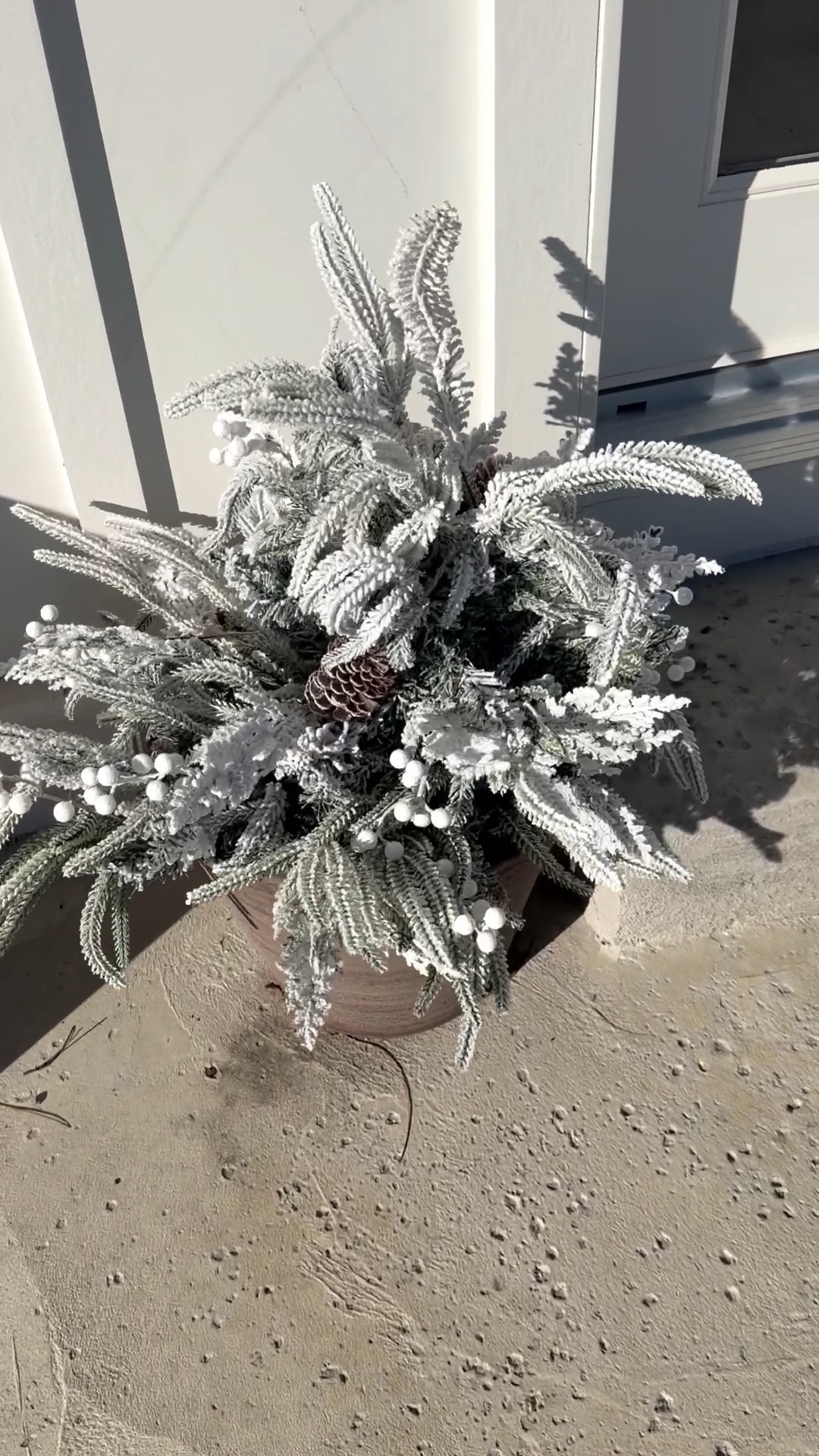 Outdoor Christmas decor pot filler 

#LTKSeasonal #LTKHome #LTKHoliday
