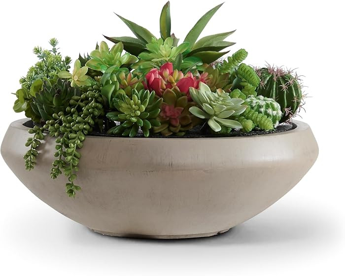 Bowl Planter 19" Dia x 6.3" H Large Succulent Pot with Drain Hole, 16.7" Opening Concrete Flowerp... | Amazon (US)
