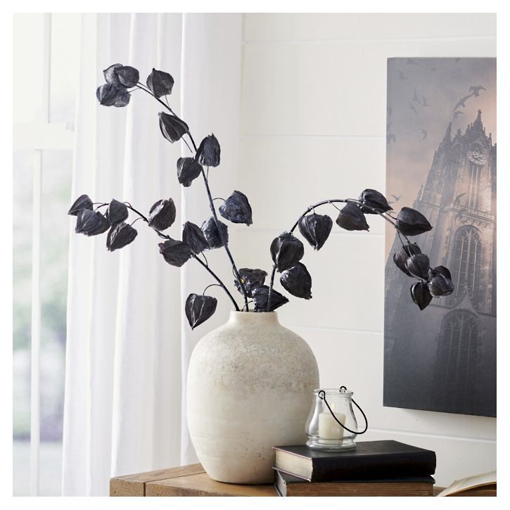 Black Chinese Lantern Stems,  Set of Three | Grandin Road | Grandin Road