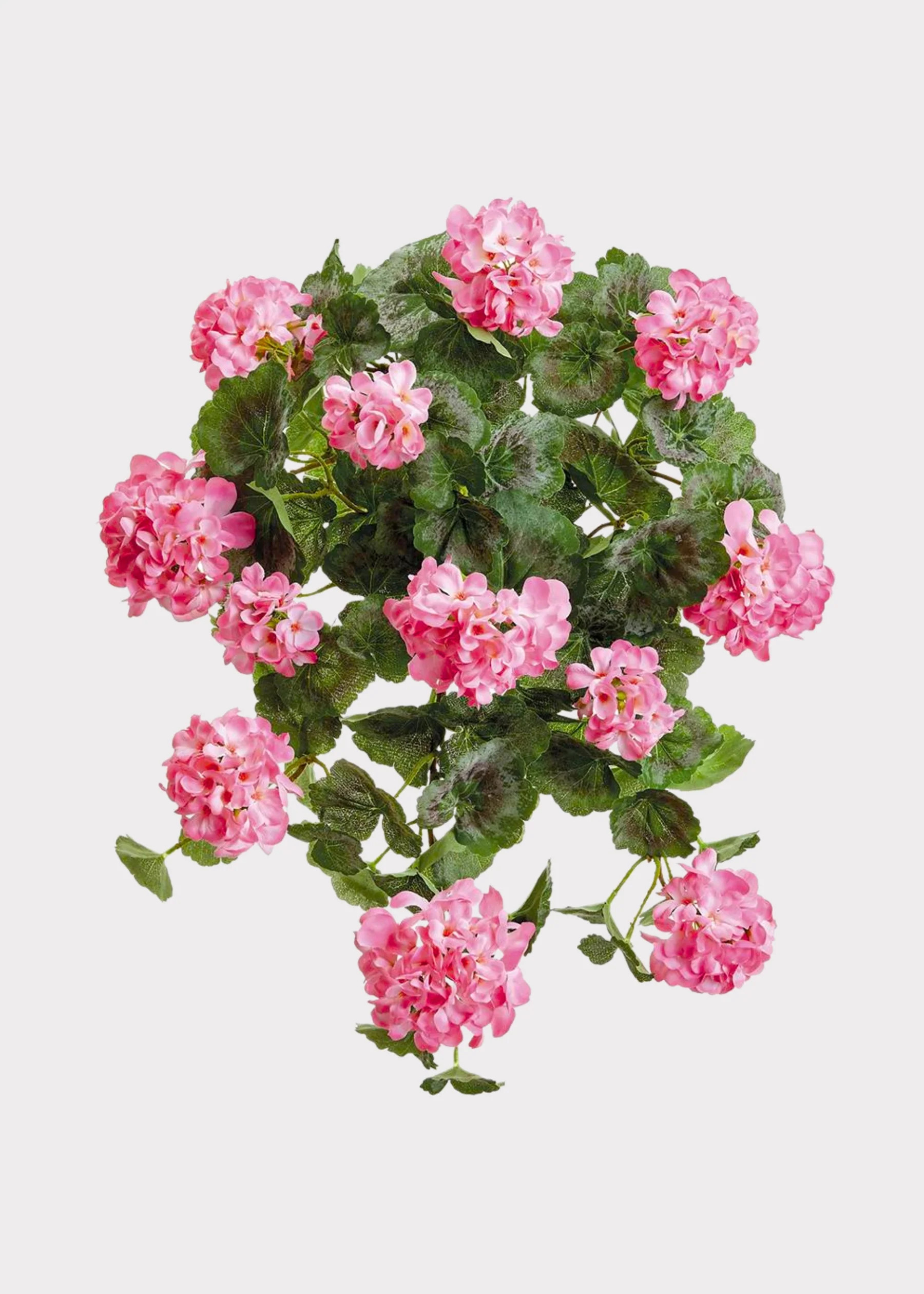 Hanging Geranium Bush in Pink | Artificial Outdoor Flowers | Afloral | Afloral
