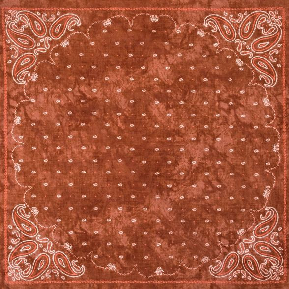 Women's Paisley Print Bandana - Universal Thread™ One Size | Target