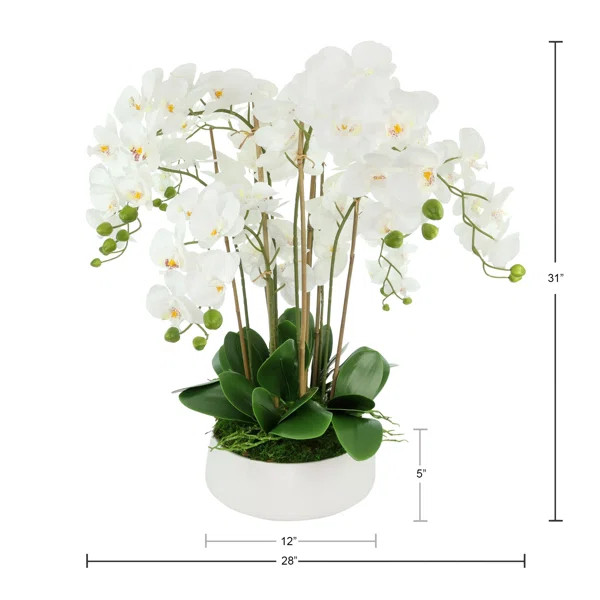 Orchid Arrangement in a Round Ceramic Vase | Wayfair North America