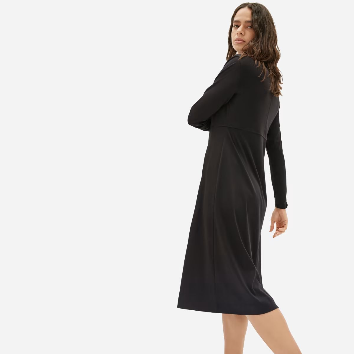 The Luxe Cotton Shirtdress | Everlane