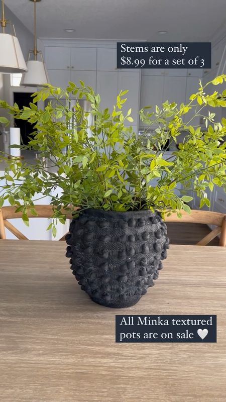Anthropologie Minka textured pots are on sale. 
These Amazon stems are set of 3 and only $8.99  

#LTKFind #LTKsalealert #LTKhome
