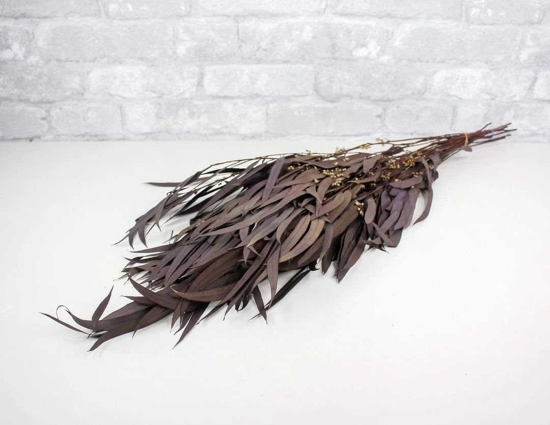 Seeded Willow Eucalyptus - Plum/Purple | Etsy (US)