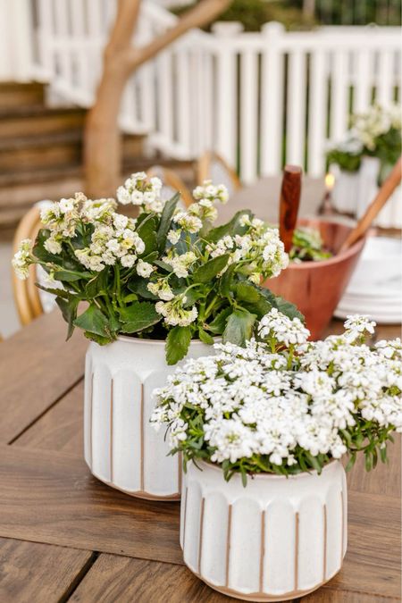 Our favorite planters from Walmart! 

#LTKhome