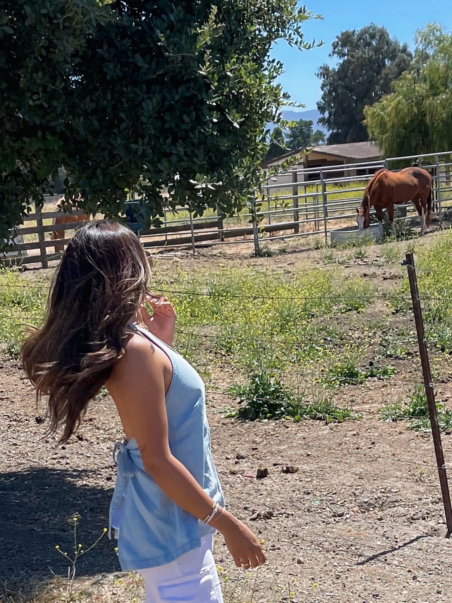 The cutest backless denim top! I’m obsessing over anything denim this summer 🙌🏼🩵 

#LTKSeasonal #LTKSummerSales #LTKStyleTip