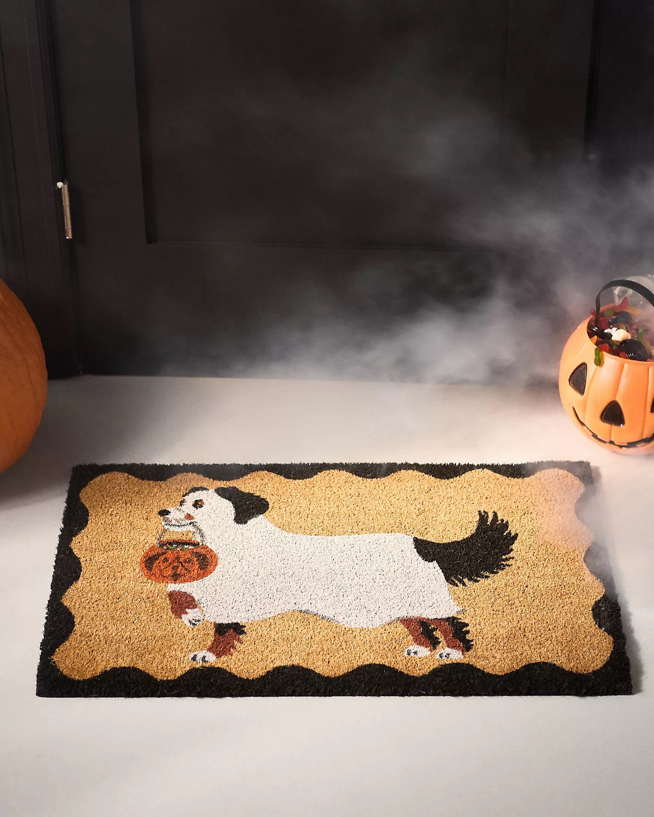 Bernese Mountain Dog Halloween Door Mat

#LTKHome #LTKSeasonal #LTKFindsUnder50