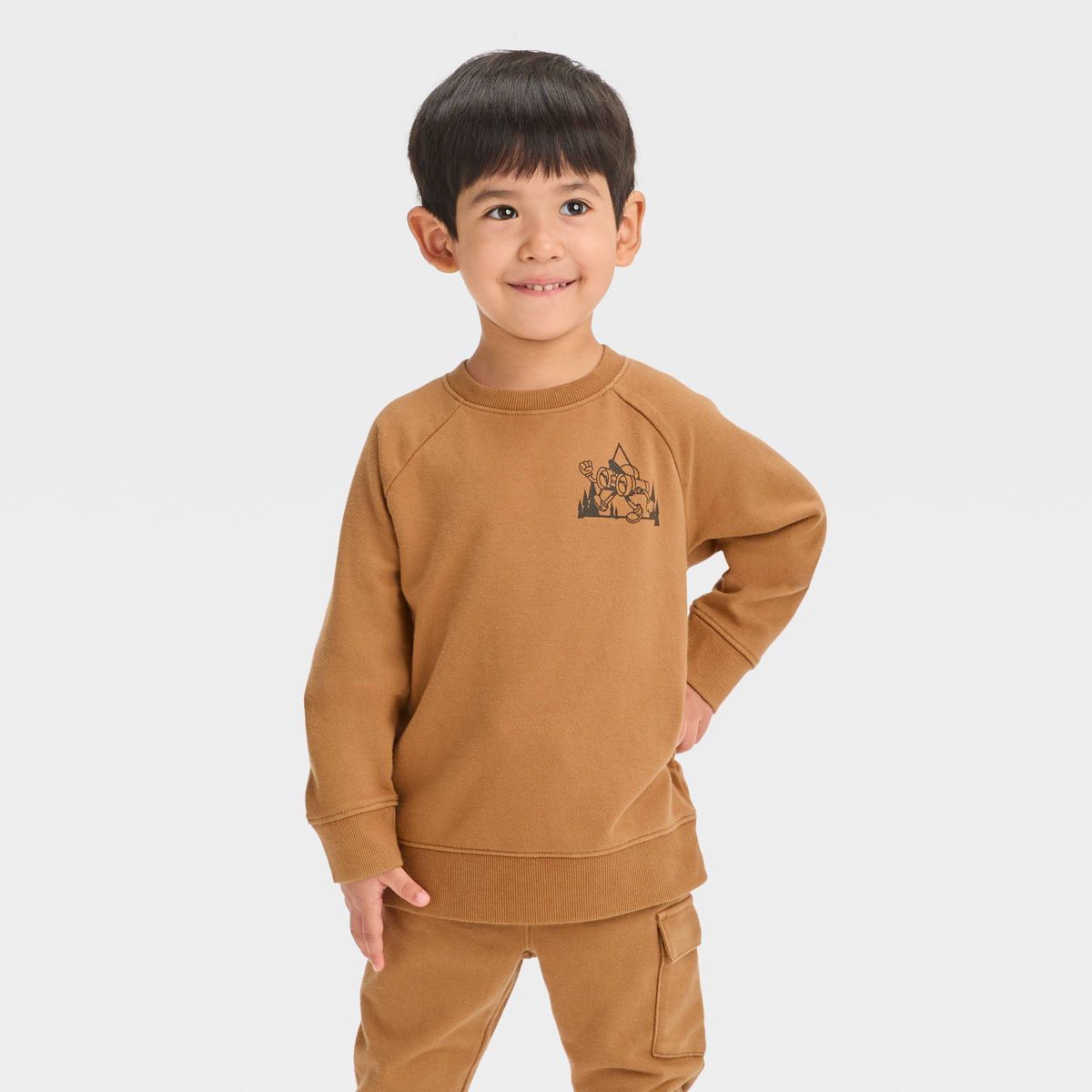 Toddler Boys' Crew Neck Pullover Sweatshirt - Cat & Jack™ | Target