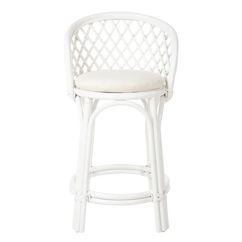 Lindy Counter & Bar Stool | Wayfair Professional